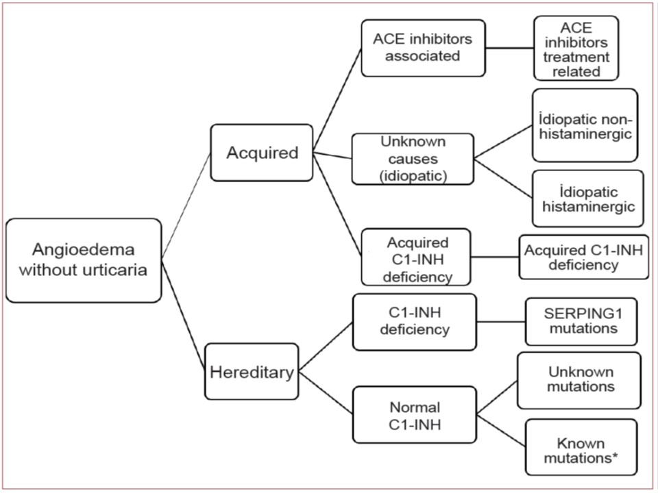 Classification of angioedema without wheals